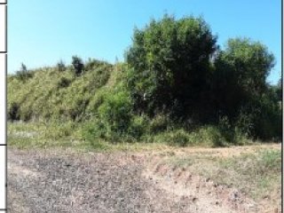 Imagem do imóvel TE51265