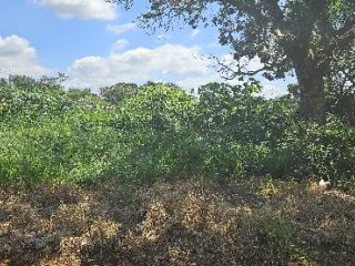 Imagem do imóvel TE21385