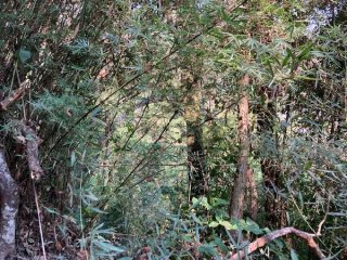 Imagem do imóvel TE12449