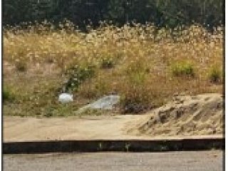 Imagem do imóvel TE56556