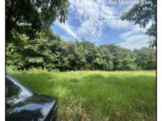 Imagem do imóvel TE11813