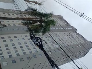 Imagem do imóvel AP53193