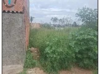 Imagem do imóvel TE39048