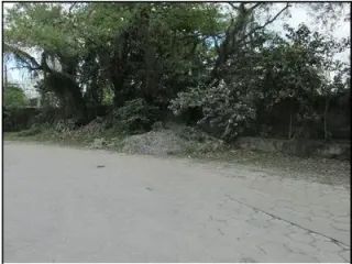 Imagem do imóvel TE93871
