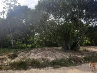 Imagem do imóvel TE67106